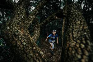 BIB: 
                            <button type="button" onclick="openModal(25693194)" class="btn btn-primary btn-sm float-right btn-popup" data-toggle="modal" data-target=".modal-high-quality">
                        <i class="fas fa-shopping-cart"></i> Add to Cart
                    </button>
                                            <button type="button" onclick="isThisMe(25693194, true)" class="btn btn-success btn-sm float-right btn-popup btn-isme hidden" data-toggle="tooltip" data-placement="bottom" title="นี่คือรูปของคุณใช่ไหม คลิกที่นี่เพื่อเอาเข้าอัลบั้ม">
                        <i class="fas fa-plus"></i> Add to album
                    </button>
                    <button type="button" onclick="isThisMe(25693194, false)" class="btn btn-warning btn-sm float-right btn-popup btn-isnotme hidden">
                        <i class="fas fa-ban"></i> Remove from album
                    </button>